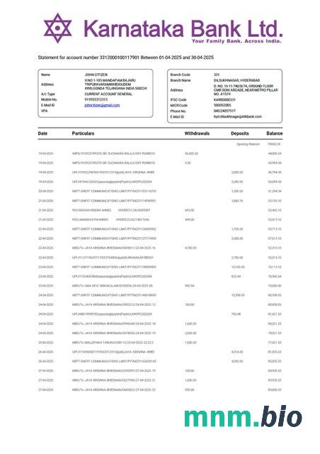 India IndusInd wyciąg z konta bankowego Word i szablon PDF